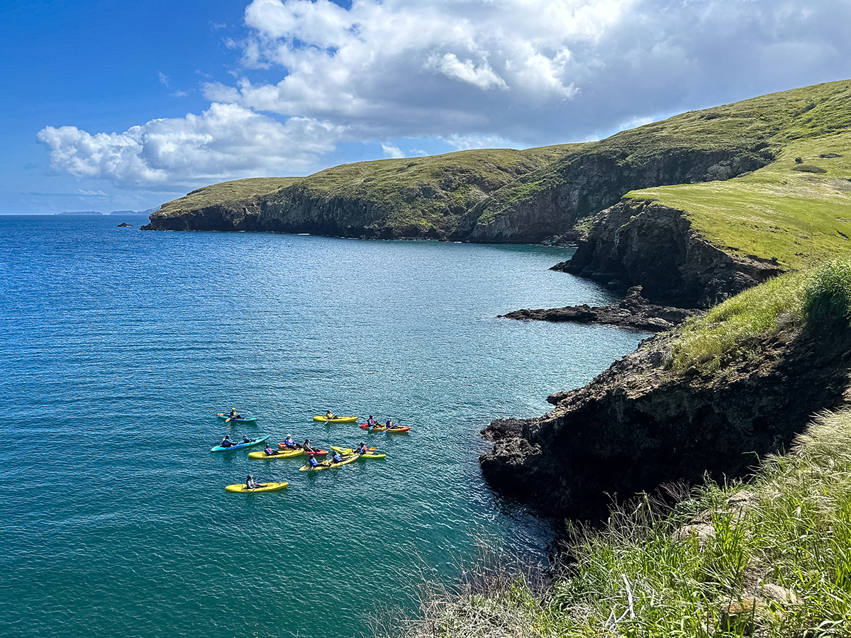 Kayak Tours & Snorkeling Channel Islands Adventure Company